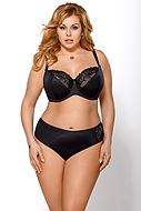Classic briefs, sheer mesh, embroidery, plus size